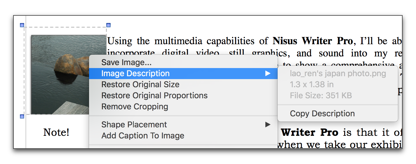 The contextual menu with a resized and cropped inline image selected showing the Image Description submenu.png