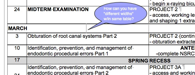 different column widths.jpg